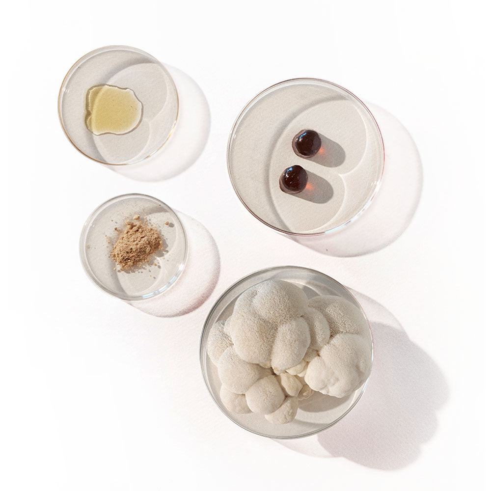 Top Effective Products