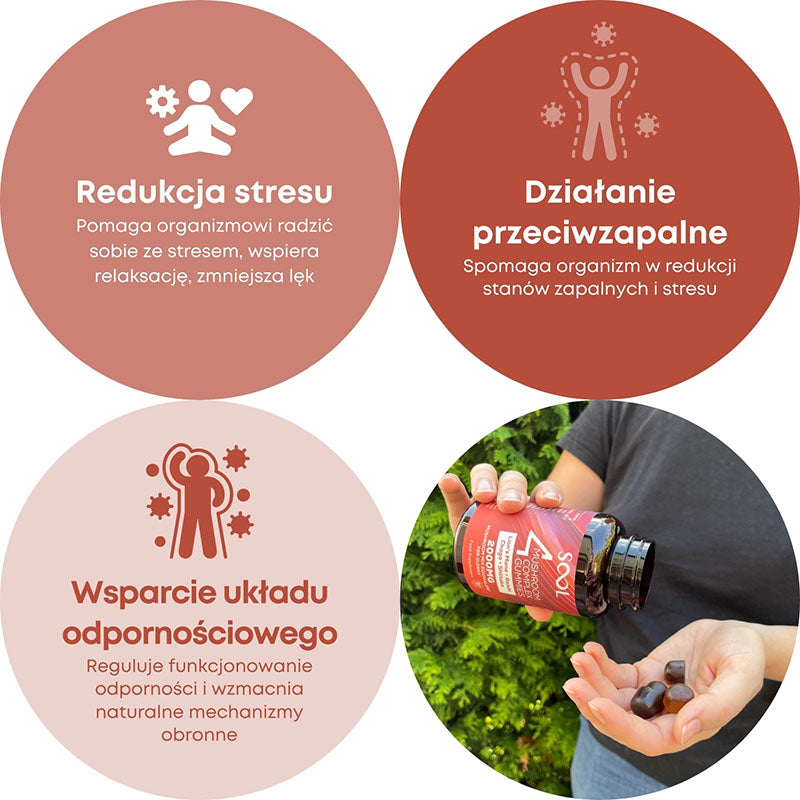 SOOL Żelki z Soplówki Jeżowatej Chagi Reishi Shiitake 60 sztuk Korzyści ze stosowania