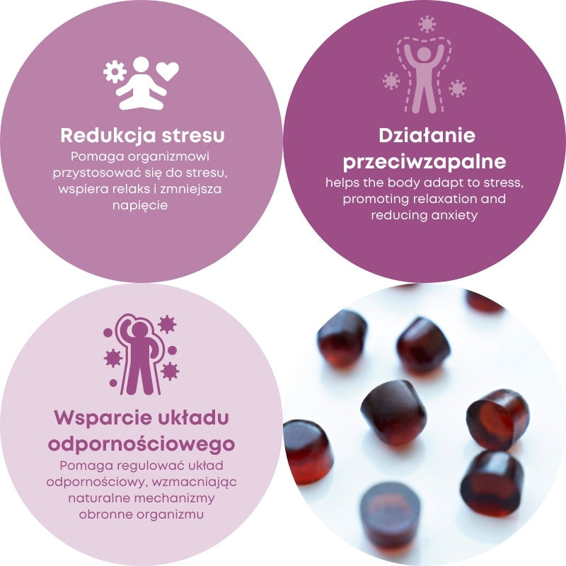 Reakiro 4 mushroom complex benefits