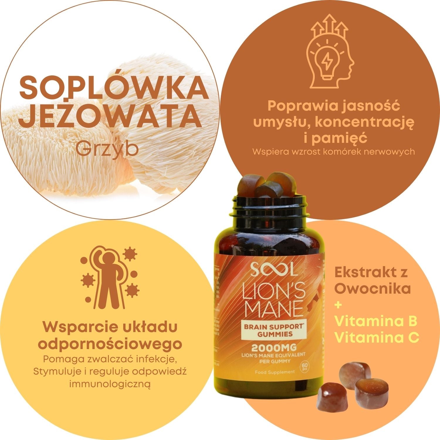 SOOL Żelki Soplówka Jeżowata 2000mg 60szt Pamięć Koncentracja Układu Nerwowego Zalety